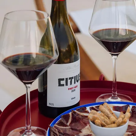 Palacete Do Guerreiro Charme & Отель Оливейра-ду-Ошпитал